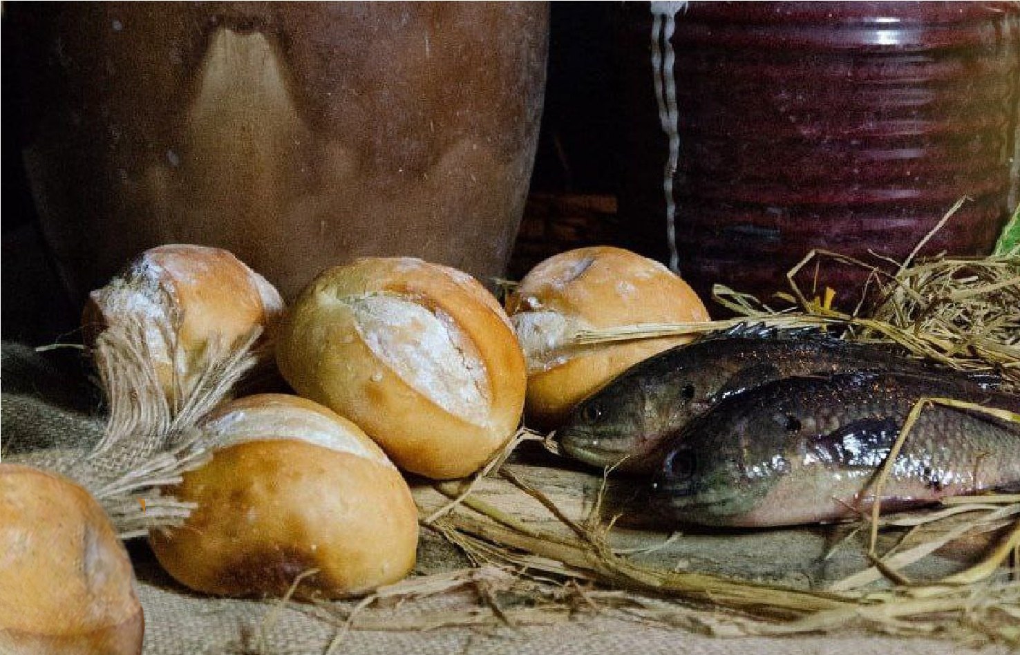 meal of fish and bread