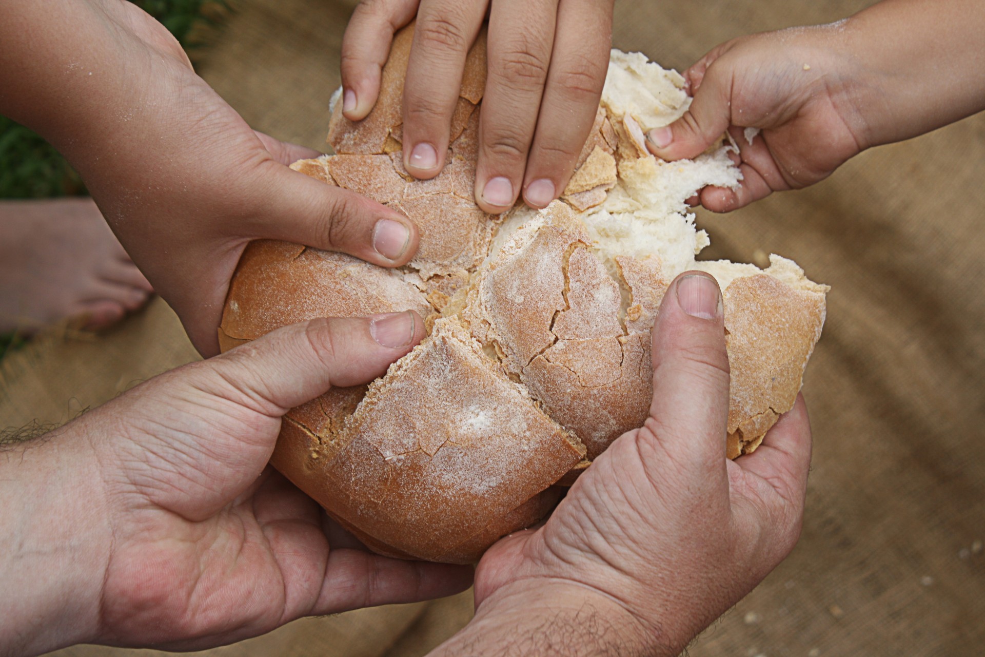 bread to share